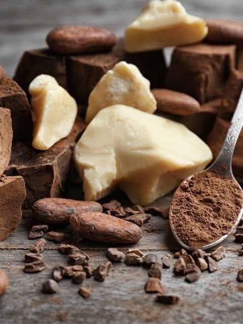 Cocoa butter pieces with cocoa beans and cocoa powder