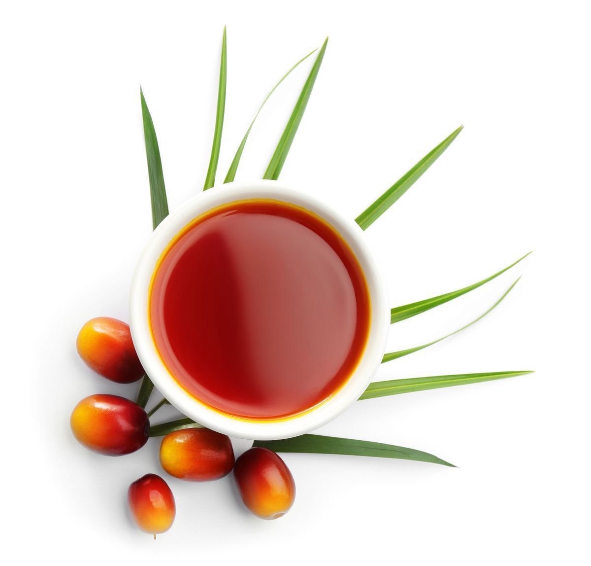 Red palm oil in a bowl with palm fruits
